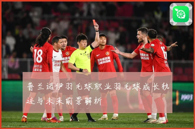 普兰诺伊羽毛球职业羽毛球成长轨迹与未来前景解析