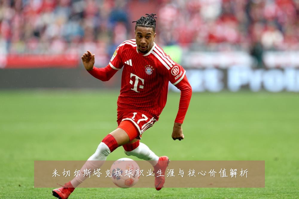 米切尔斯塔克板球职业生涯与核心价值解析